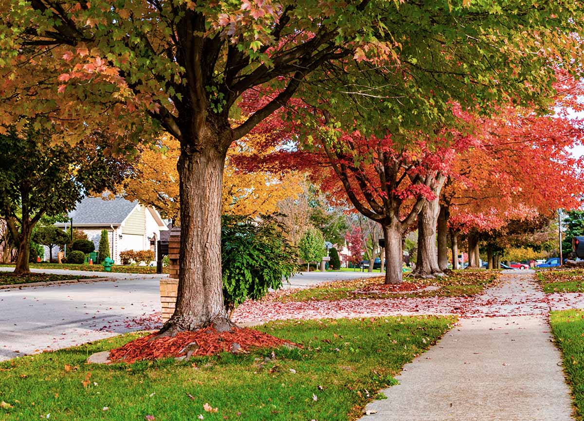 Beautiful Autumn day in a Community Managed by Chambers Management in Maryland