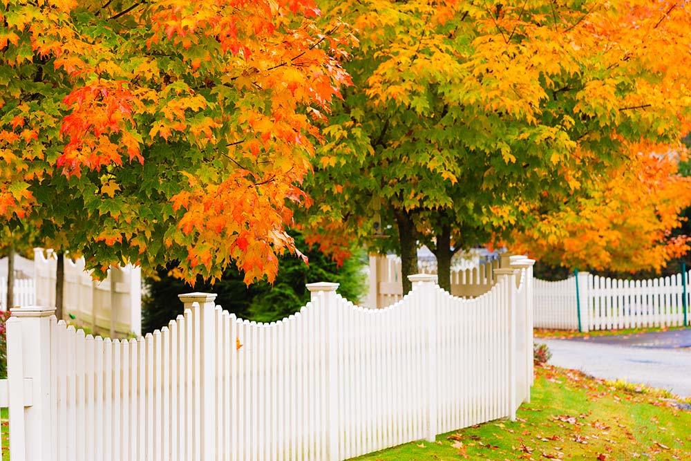 Beautiful Autumn day in a Community Managed by Chambers Management in Maryland